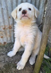 Gertrud – geb. ca. 03/2026
