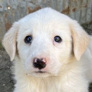 Gertrud – geb. ca. 03/2026