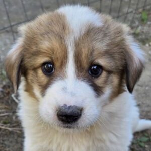 Gisela – geb. ca. 03/2026