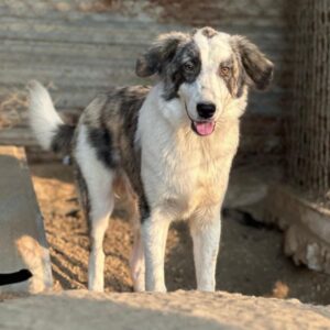 Kairo – geb. ca. 12/2025