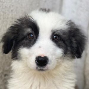 Kairo – geb. ca. 12/2025