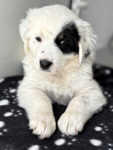 Mary – geb. ca. 02/2026