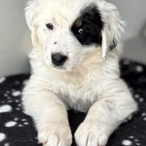 Mary – geb. ca. 02/2026
