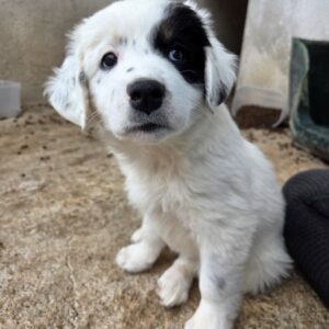 Mary – geb. ca. 02/2026