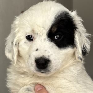 Mary – geb. ca. 02/2026