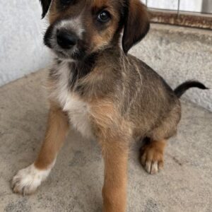 Naveen – geb. ca. 02/2026
