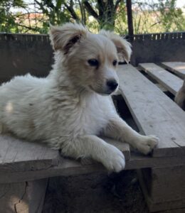 Pablo Escobar – geb. ca. 02/2026