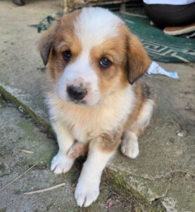 Ralf – geb. ca. 03/2026