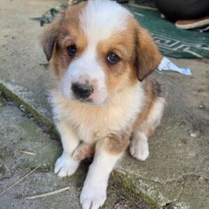 Ralf – geb. ca. 03/2026