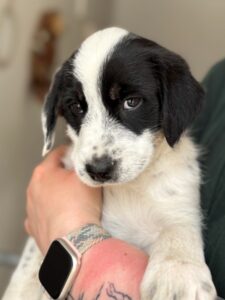 Sarah – geb. ca. 02/2026
