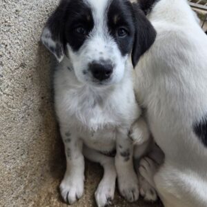 Sarah – geb. ca. 02/2026