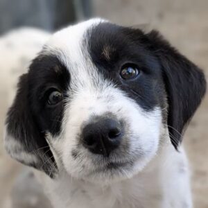 Sarah – geb. ca. 02/2026