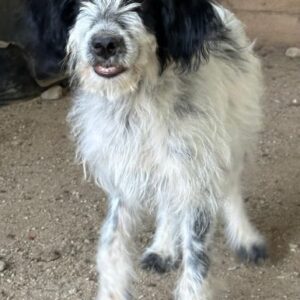 Winifred – geb. ca. 02/2026