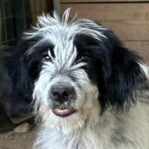 Winifred – geb. ca. 02/2026