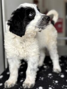 Winifred – geb. ca. 02/2026