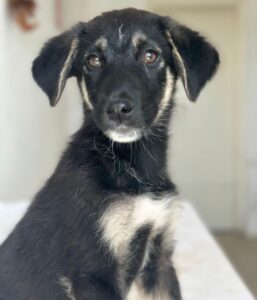 Elina – geb. ca. 03/2026