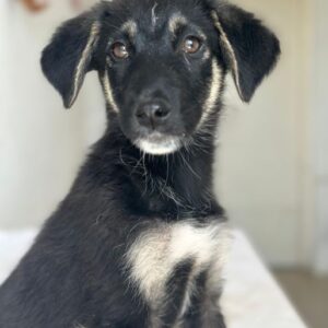 Elina – geb. ca. 03/2026