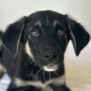 Elina – geb. ca. 03/2026