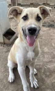 Hilde – geb. ca. 02/2026