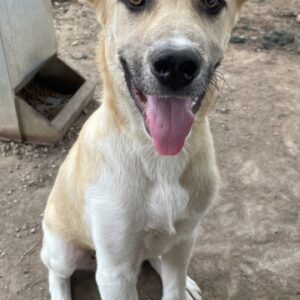 Hilde – geb. ca. 02/2026