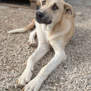 Hilde – geb. ca. 02/2026