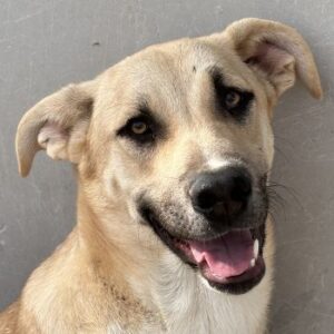 Hilde – geb. ca. 02/2026