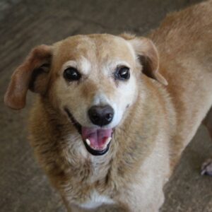 Jacky – geb. ca. 05/2022