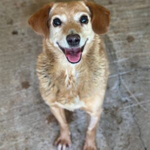 Jacky – geb. ca. 05/2022