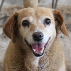 Jacky – geb. ca. 05/2022