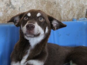 Jana – geb. ca. 05/2024