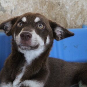Jana – geb. ca. 05/2024