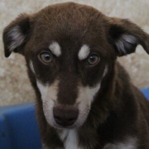 Jana – geb. ca. 05/2024