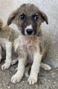 Karolina – geb. ca. 03/2026