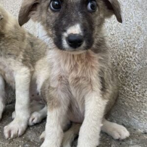 Karolina – geb. ca. 03/2026