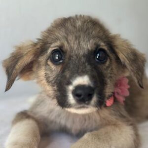 Karolina – geb. ca. 03/2026
