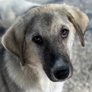 Karolina – geb. ca. 03/2026