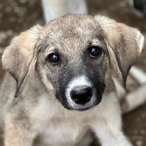 Karolina – geb. ca. 03/2026