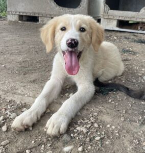 Marci – geb. ca. 03/2026