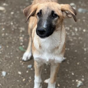 Rula – geb. ca. 03/2026