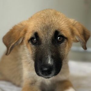 Rula – geb. ca. 03/2026