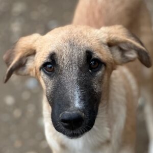 Rula – geb. ca. 03/2026