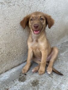 Barbara – geb. ca. 04/2026