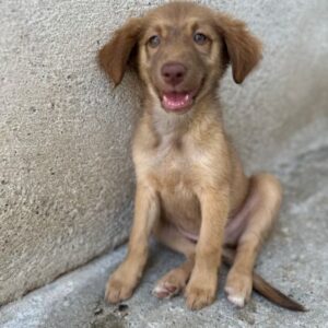 Barbara – geb. ca. 04/2026