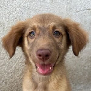 Barbara – geb. ca. 04/2026