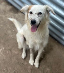 Belinda – geb. ca. 07/2025