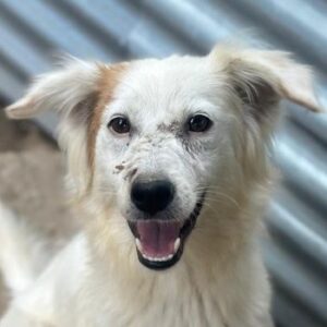 Belinda – geb. ca. 07/2025