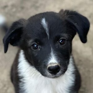 Betty – geb. ca. 04/2026