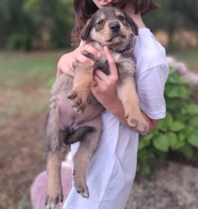 Carmen – geb. ca. 04/2026