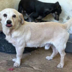 Edgardo – geb. ca. 07/2023