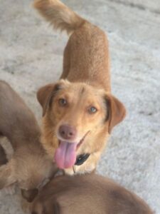 Lina – geb. ca. 07/2025